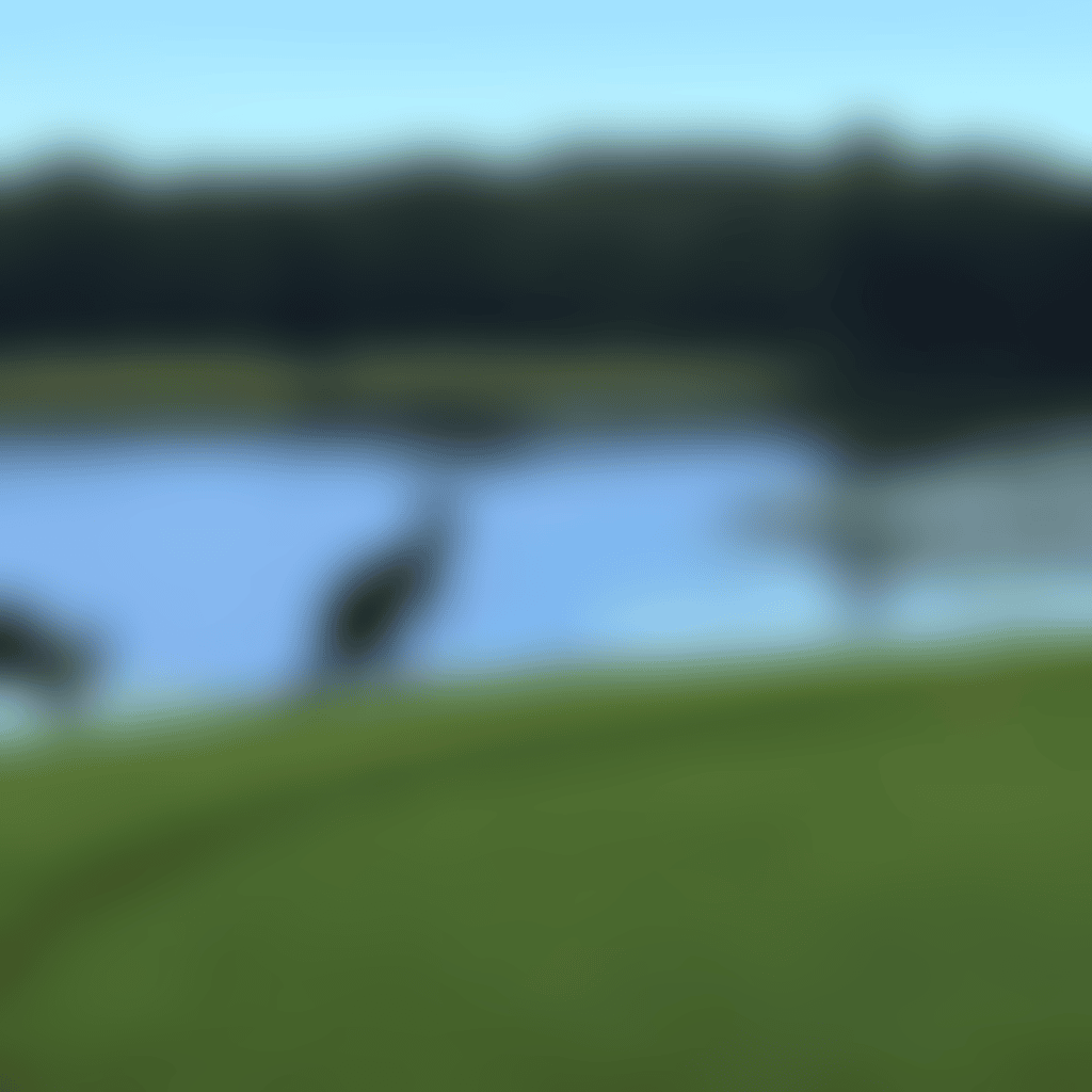 9 1
