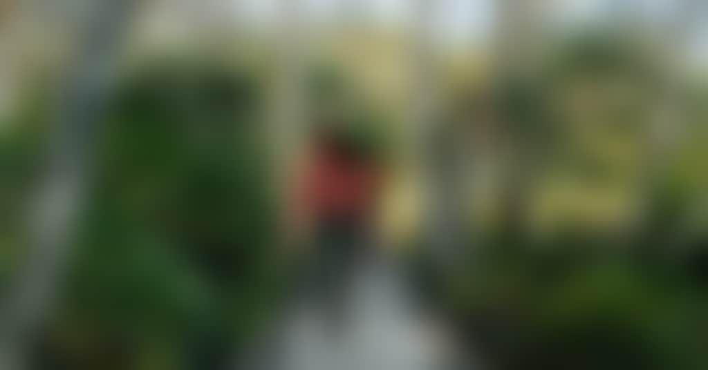 Two hikers at tomaree coastal walk