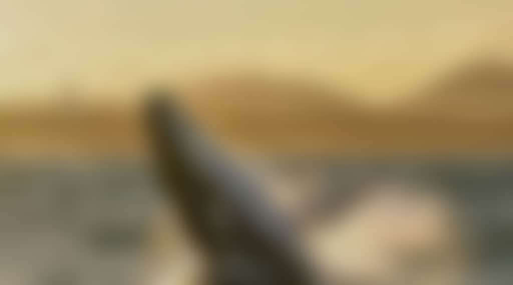 6598190B7F2F9F2B82F2Da9969E1E926