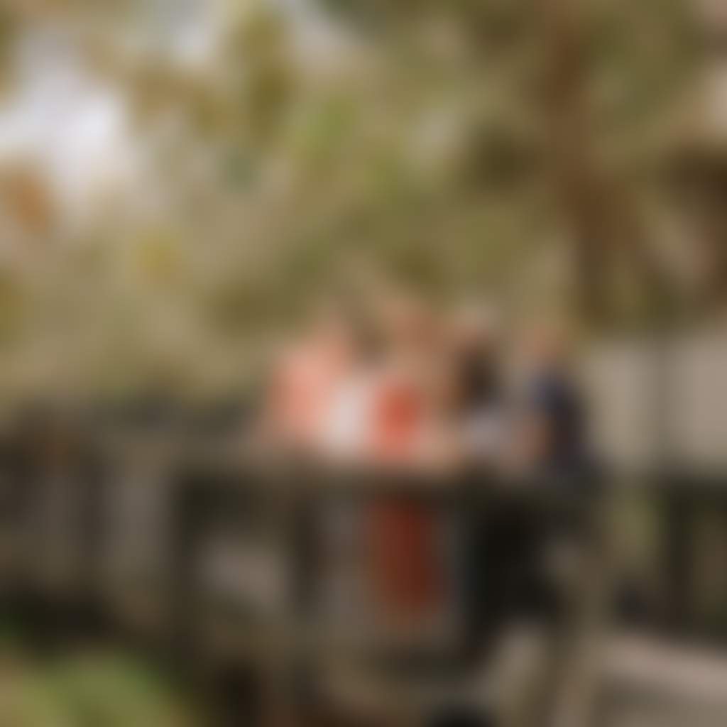 Koala Sanctuary 4