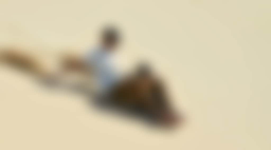 D55Ae3Af243947Ff95Bdb50119Ea0736
