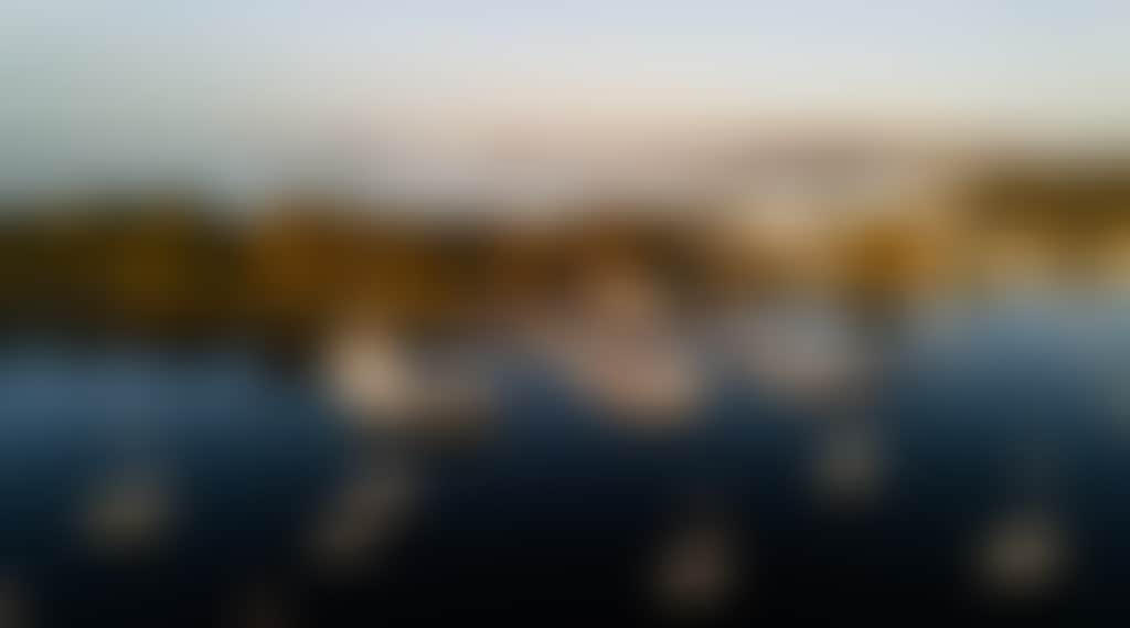 D Albora Soldiers Point Port Stephens Heads