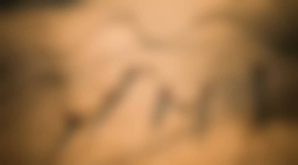 F523E9E6F00893F43D444B1Ffedb2D37
