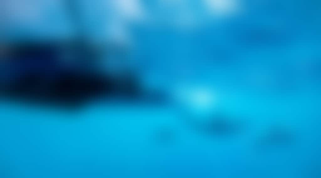 1Db9B1E6B06236Ebb2Aada4F51E6B2D2