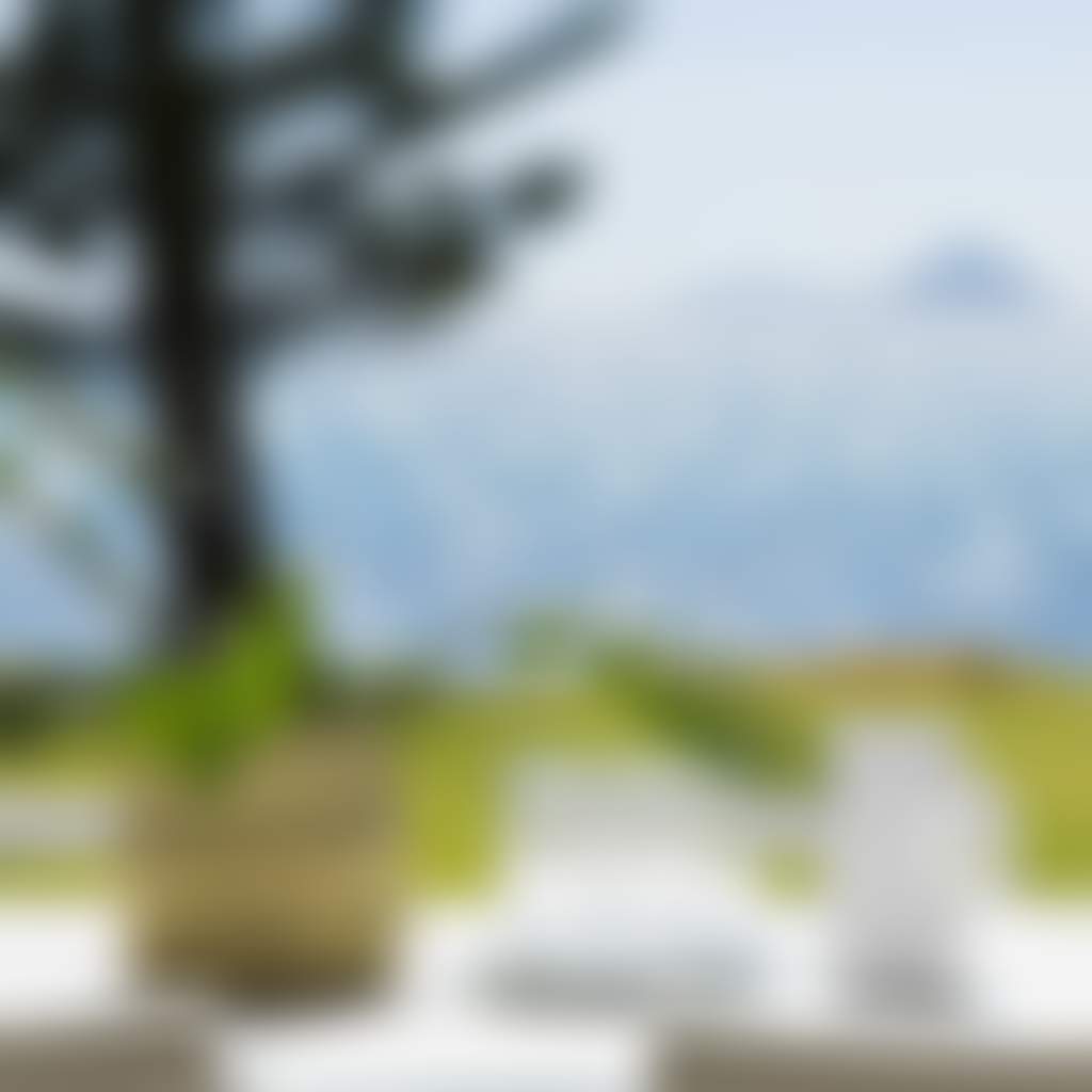 E330Ccac33C10E729A8Dd5Adcc6B3Eec