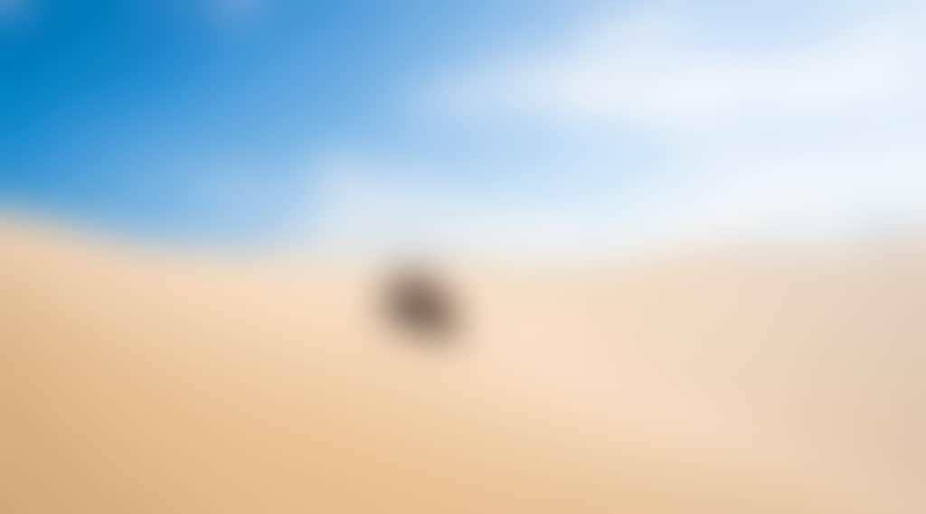Ed6Cc7C28D5C9C070C8B01Bcf900815E