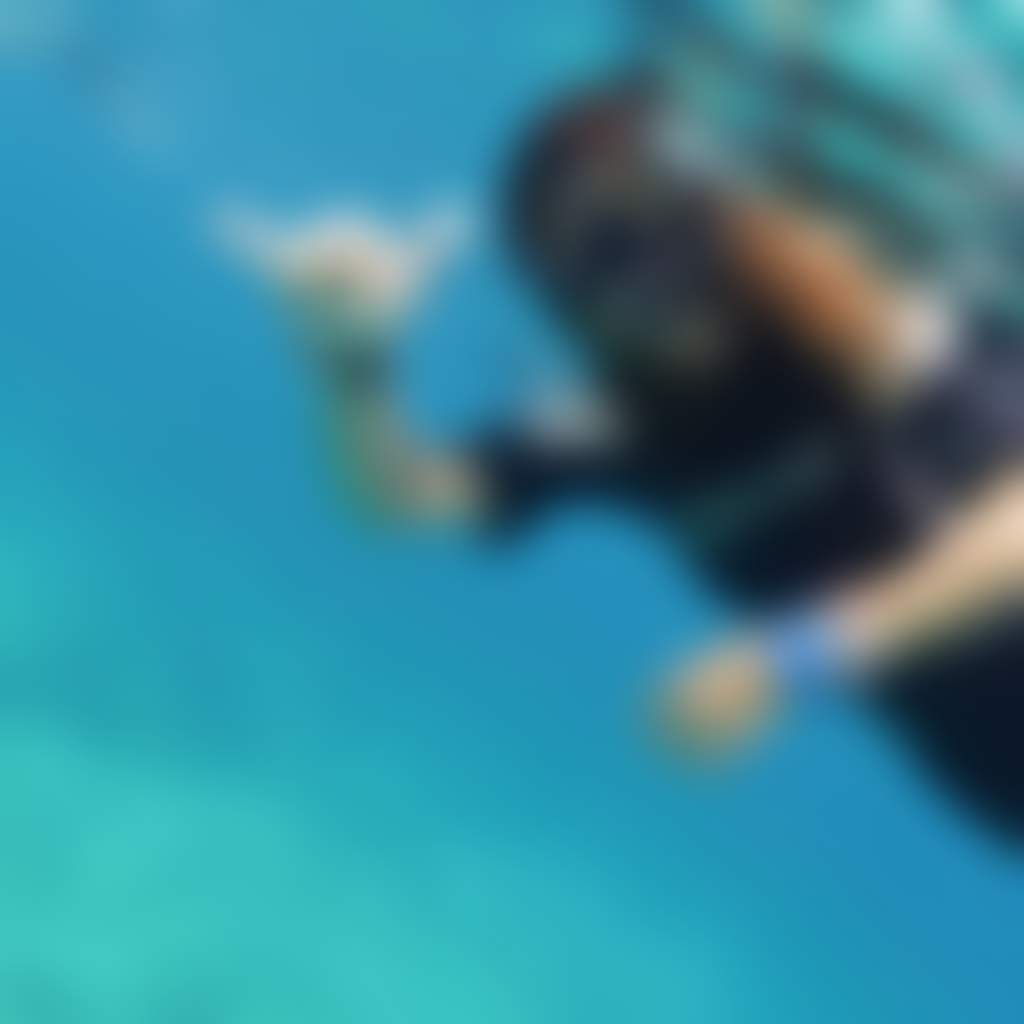 Squids Dive Co HERO IMAGE