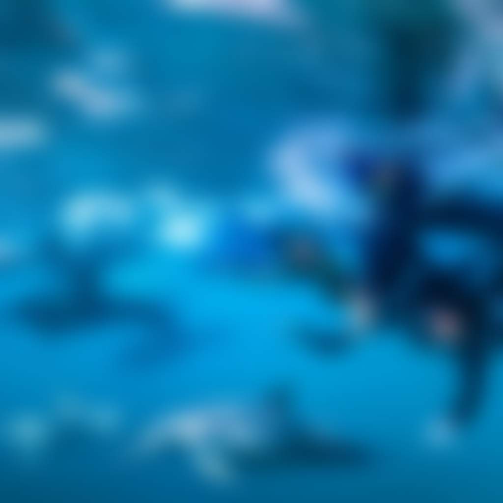 2614D5B268D694296A7D2Dfdfd609416