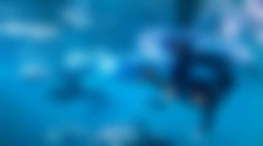 2614D5B268D694296A7D2Dfdfd609416