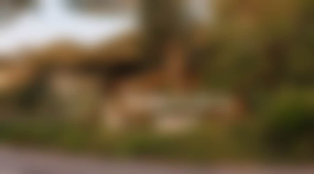 2D3F4Bd01841Cb56E76C8Fe76137Df59