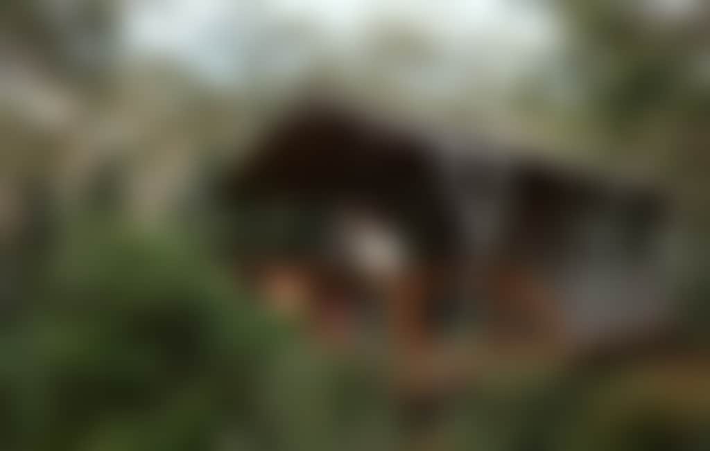 5B26449D34F884Dde06D9267148334F7