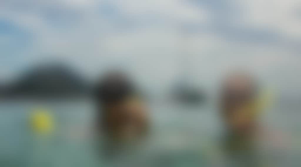 8Bf838727Ce0514063A56Ff45C2C085C