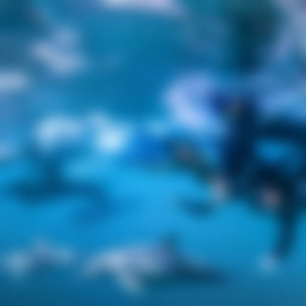 0 DSC4970 2