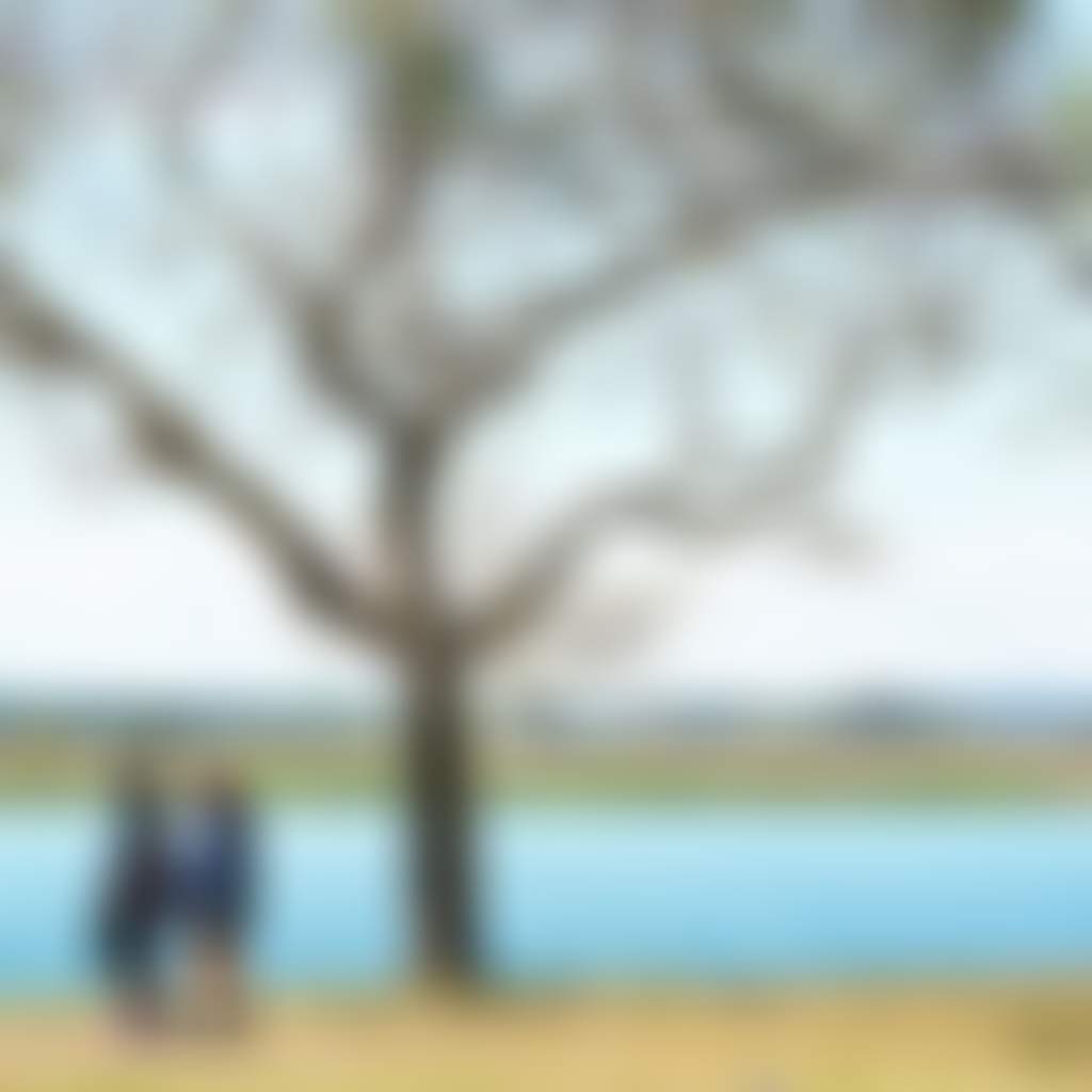 Riverside Park Raymond Terrace 2
