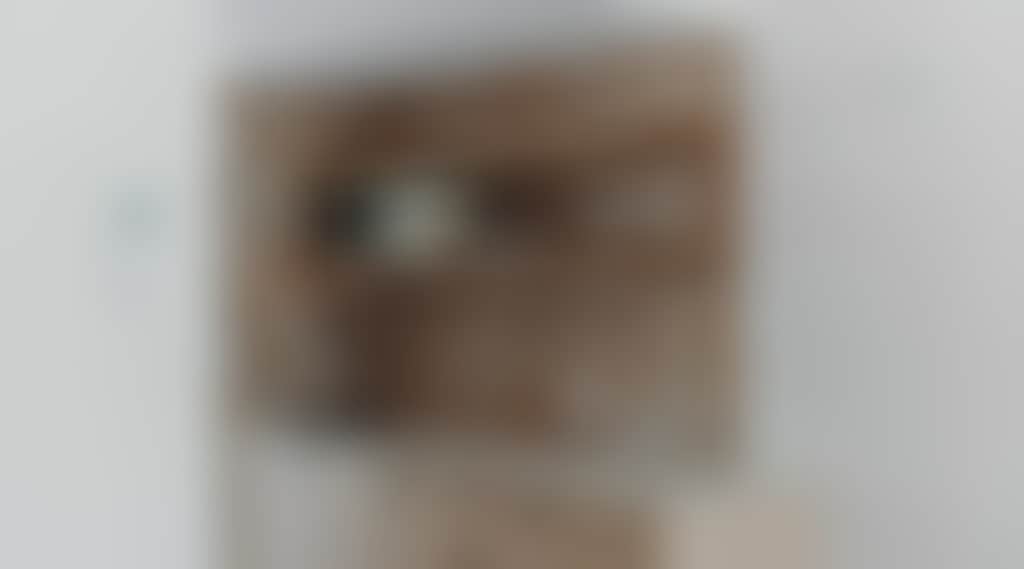 B98Eb9325430Ebd1896196460E497835