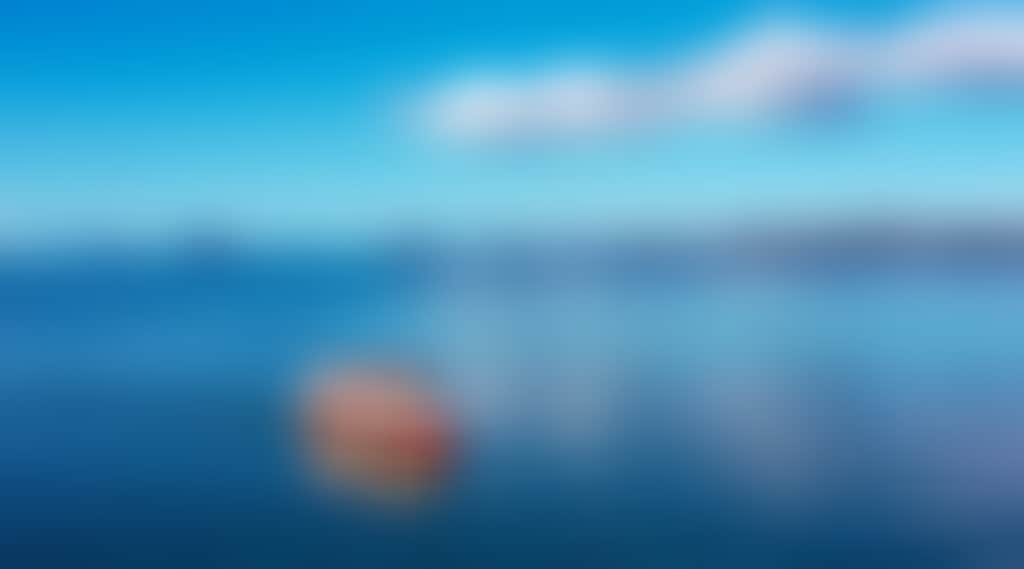 486026926 626156490311879 7609471668085709286 n