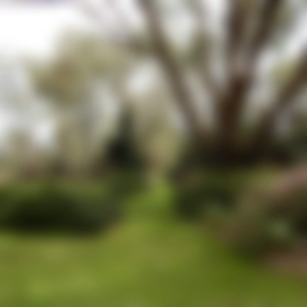 69641F2Fdfd0E45De5E8Df59B2114A31