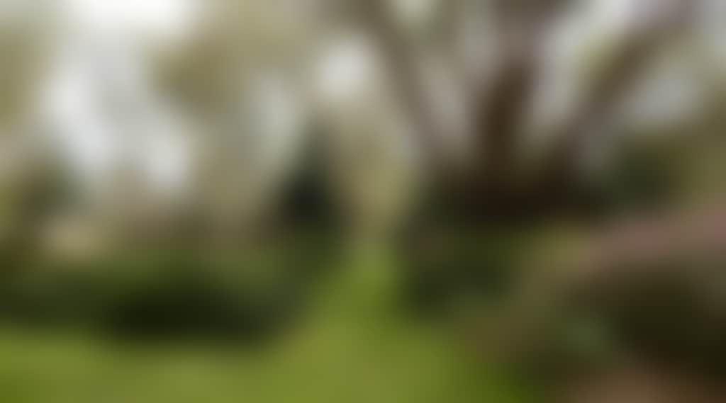 69641F2Fdfd0E45De5E8Df59B2114A31