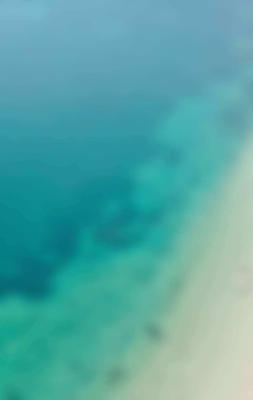 Aerial view of Shoal Bay beach