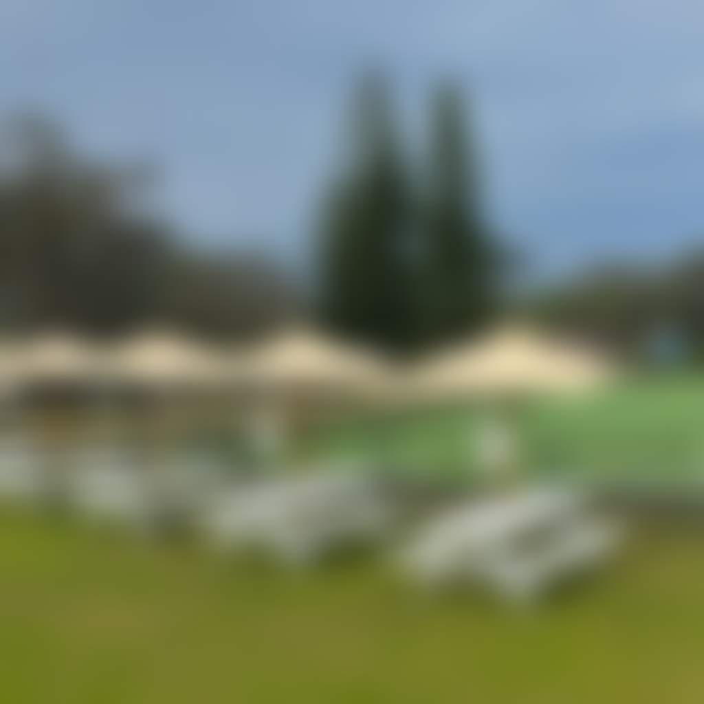 523002083 1570653590896277 5742561923344344881 n
