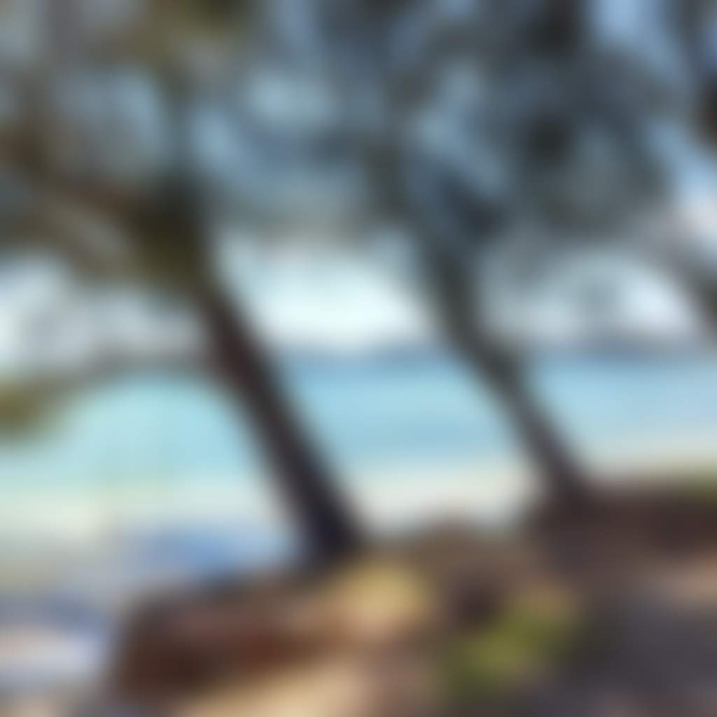 Fc4A96E09Bfa5308E2Ddebb816D3722C