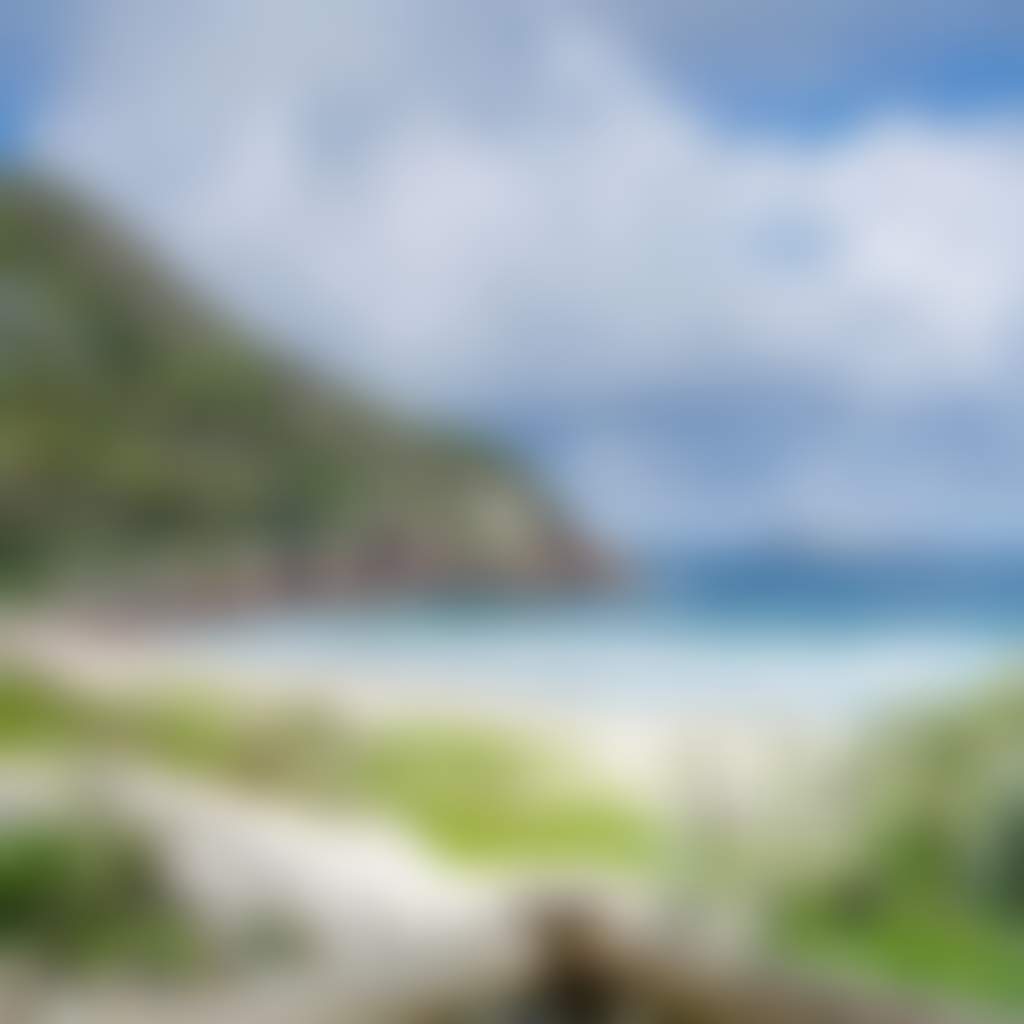Tomaree-National-Park-001_0Y9Jy6A