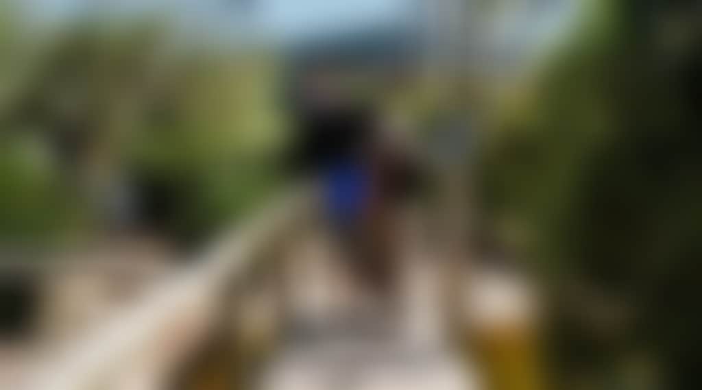 12619229D811C3Fe9Abb193Dc441E385