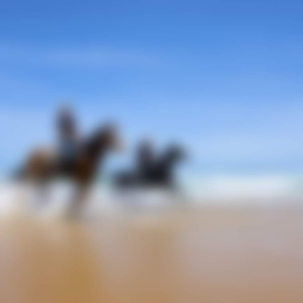 Sand dunes horse riding