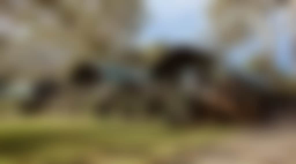 1B48B31C024D47610356B11393113126