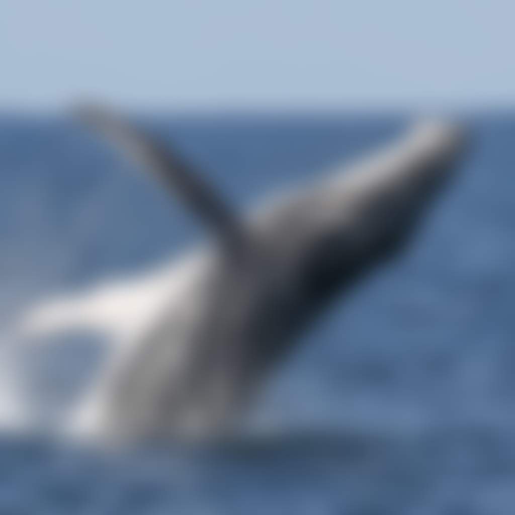 0 Y7 A5135 2