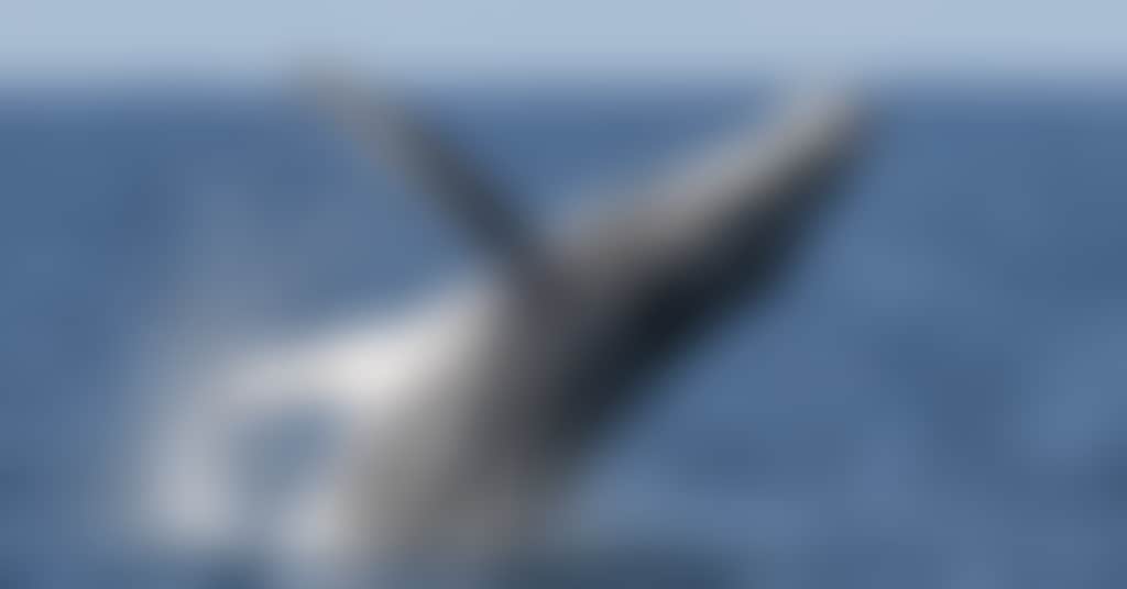 0 Y7 A5135 2