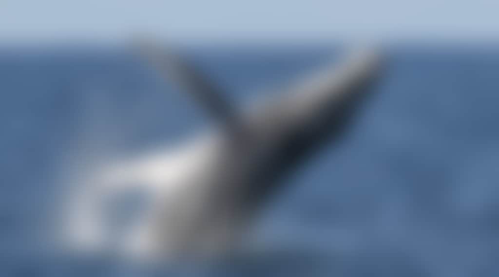 0 Y7 A5135 2