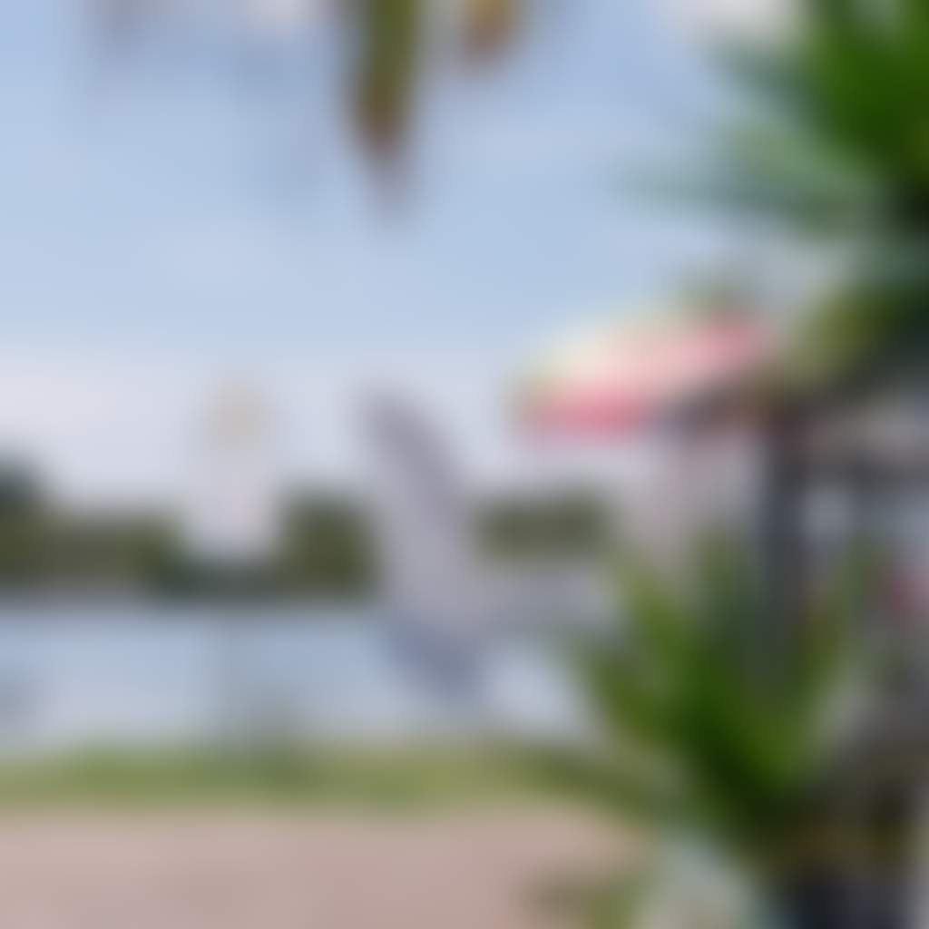 Lemon tree passage waterfront Hunter Hunter image