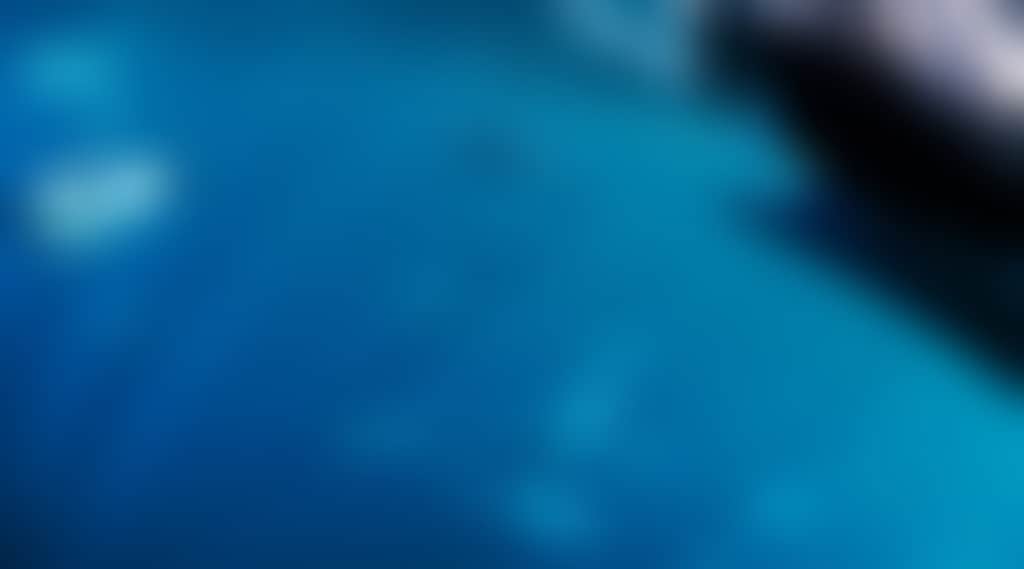 453892806E3894A521D399Fe40A1C95E