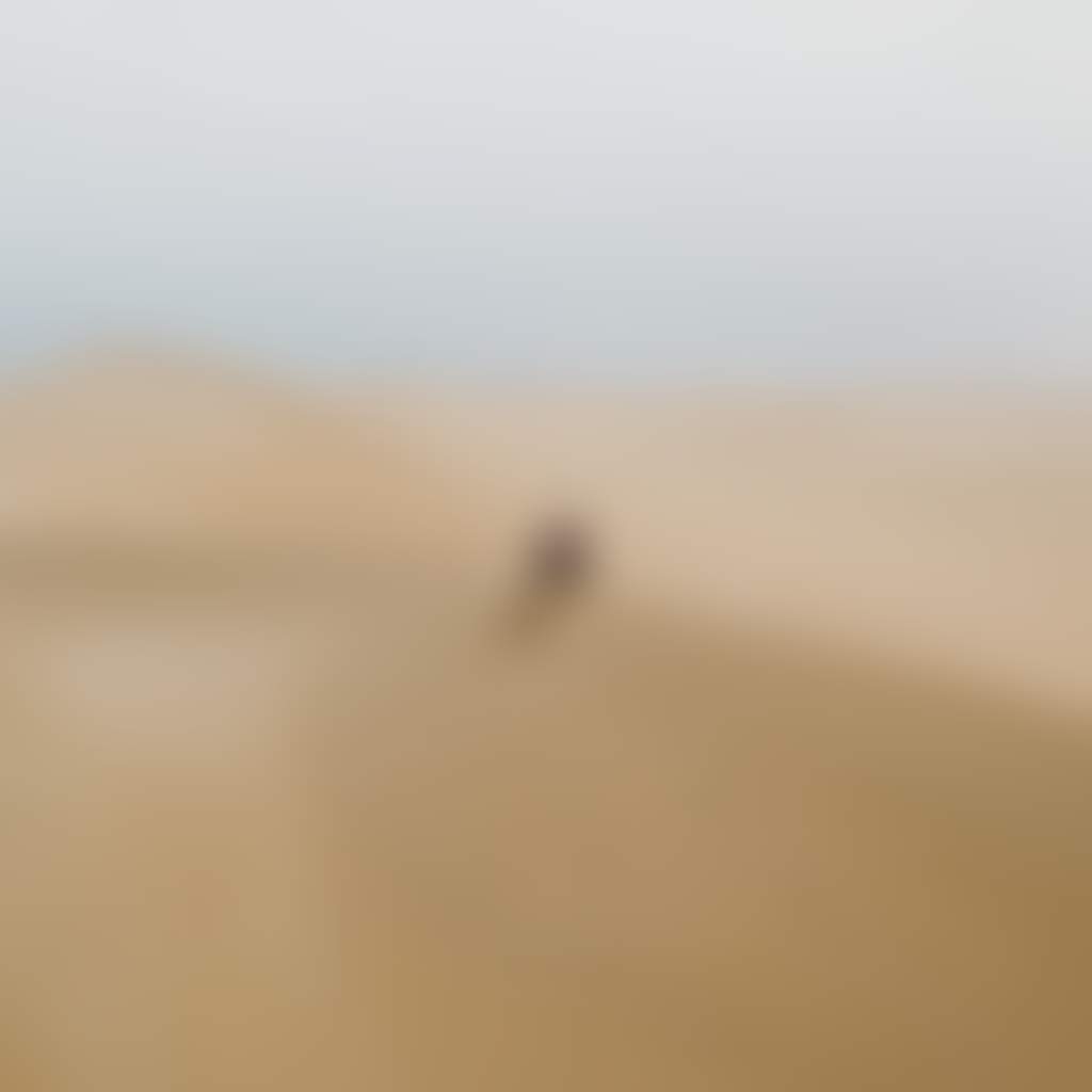 A person is sitting cross legged near the crest of a large sand dune playing a didgeridoo