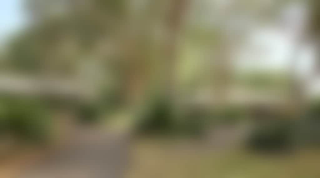 0E20Cc4E6F52C4F9C2Bef0Ffd5Cdb9Fd
